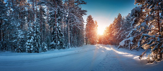 winter panorama on the road through coniferous forest