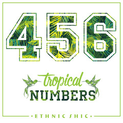 Vector tropical numbers for t-shirts, posters, card and other uses.
