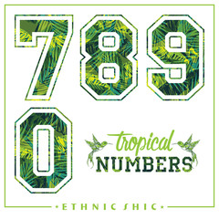 Vector tropical numbers for t-shirts, posters, card and other uses.