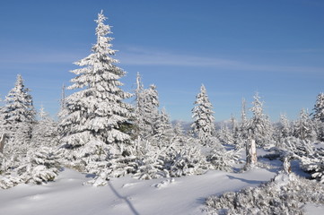 Winter im tschechischen Riesengebirge/Krkonoše