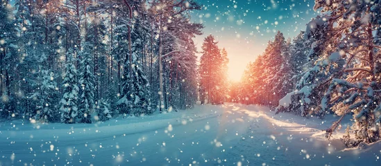Foto op Aluminium winter panorama on the road through coniferous forest © candy1812