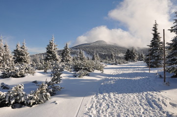 Winter im tschechischen Riesengebirge/Krkonoše
