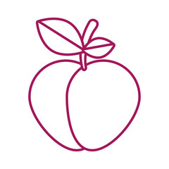 contour purple line with apple vector illustration