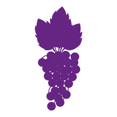 silhouette purple color with bunch of grapes vector illustration