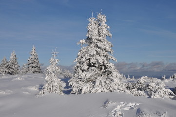 Fototapeta na wymiar Winter im tschechischen Riesengebirge/Krkonoše
