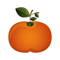 silhouette colorful with tangerine bright vector illustration