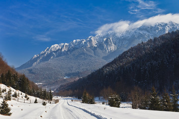 rustic road in winter