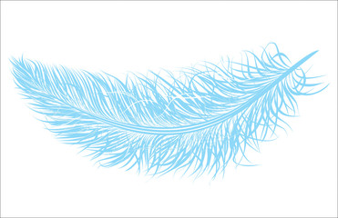 Vector feather