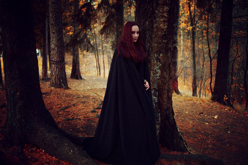 Young beautiful and mysterious woman in woods, in black cloak with hood, image of forest elf or...