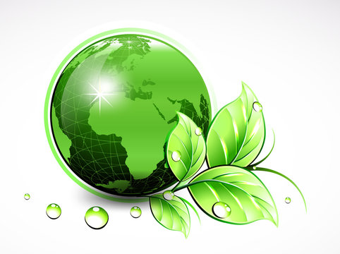 Natural green World with leaves and water drops. Vector illustration