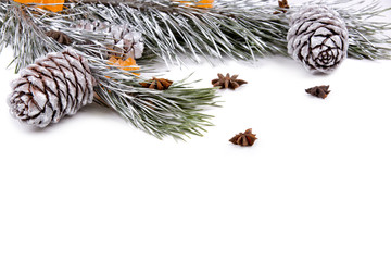 Silver pine branches with silver pine cones, star anise, and grape sugar on a white background