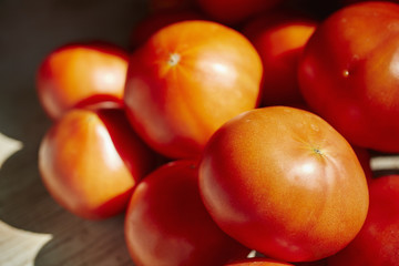 Beefsteak tomatoes from Lancaster County, Pennsylvania, USA