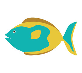 Obraz premium colorful silhouette with sea fish blue and fins brown vector illustration