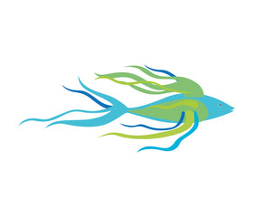 colorful silhouette with sea fish long fins vector illustration
