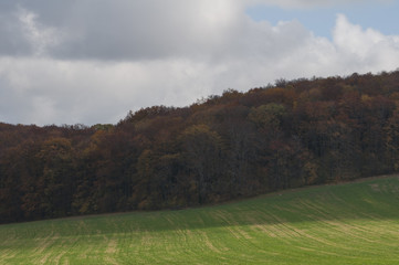 autumn field in Poland
