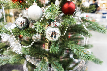 Obraz na płótnie Canvas chrismas tree and decoration on festive shop background