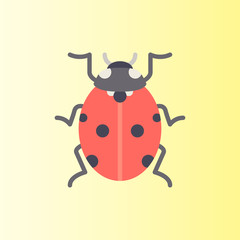 ladybug icon. flat design