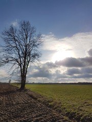 Jesienne pole © michalsen