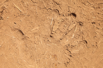 texture of clay and straw