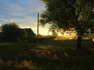 Dawn in the village