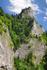 Fototapeta na wymiar Big rock in Pieniny mountains, Slovakia