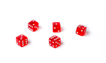 red dice on a white background