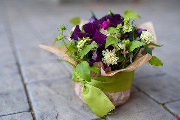 Beautiful summer flowers