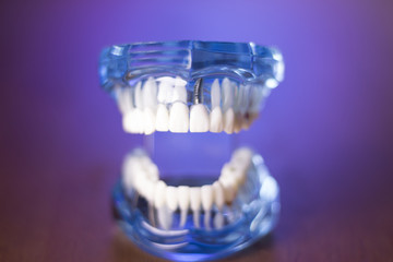 Denture for dentistry students