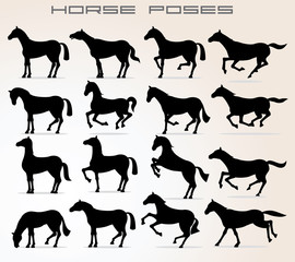 Horse Icons. Different Poses and Figures