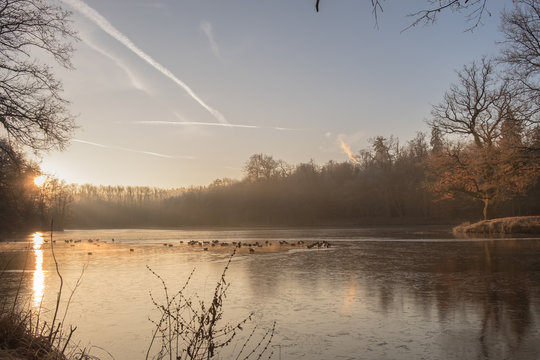 Morgenstimmung am See im Winter