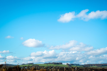 Green field and blue sky .Walpole ,Australia .