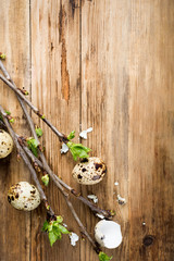 Quail eggs, green branches on old wooden background. Easter background with copy space for text.