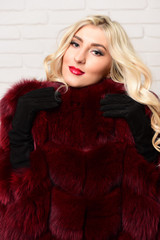 fashionable sexy woman in fur