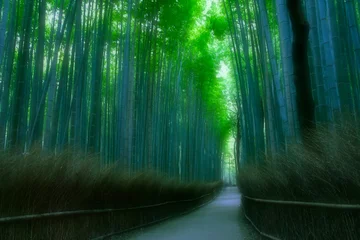 Poster 京都・嵐山の竹林 © mikikaikai