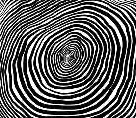 Vector spiral. Spiral. The concentric circles. The silhouette of the spiral. Effect, hypnosis, the symmetry of the spiral.