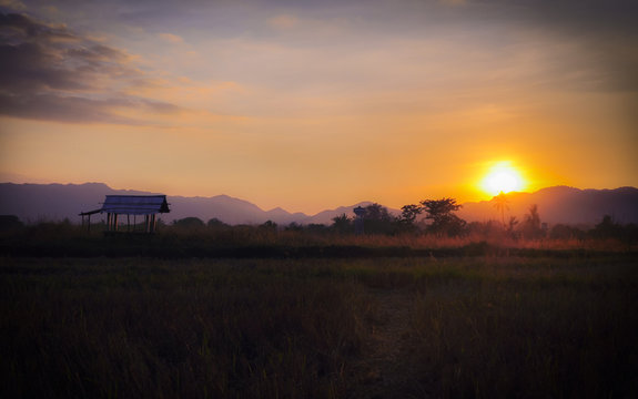 grass field outdoor sunset by countryside for background