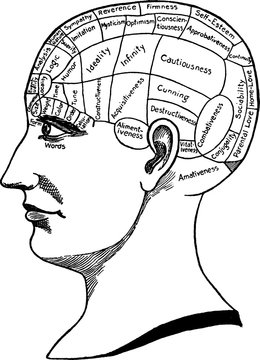 Vintage image  phrenology