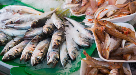 fish on counter