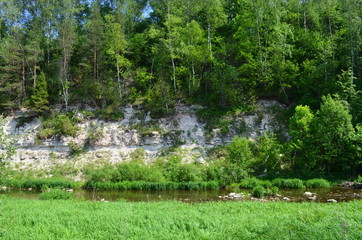 деревня Холохольня. Старицкий район. Тверская область
