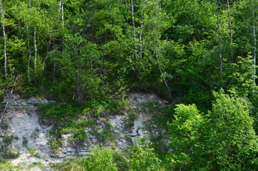 деревня Холохольня. Старицкий район. Тверская область
