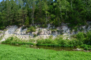 деревня Холохольня. Старицкий район. Тверская область