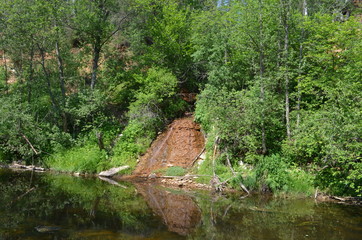 деревня Холохольня. Старицкий район. Тверская область