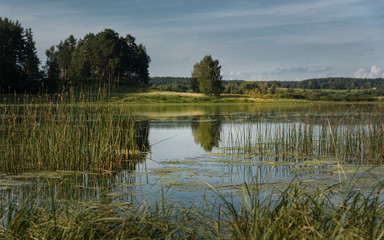 summer landscape green hills on background of the river