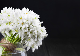 Fresh snowdrop in vase on wood desk