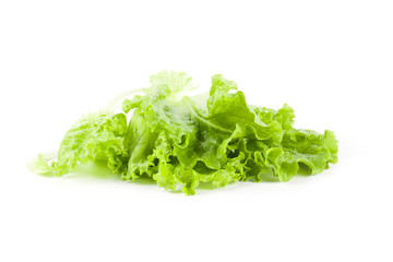 Ripe lettuce leaves 