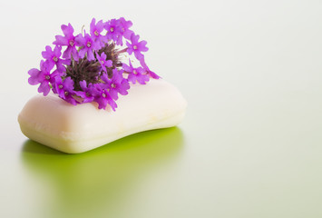 Obraz na płótnie Canvas Soap topped with purple Prairie Verbena flower, on gradient green background