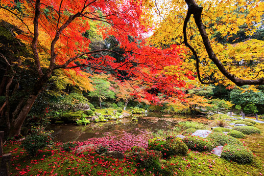 Autumn garden at Nanzen-ji Temple, Kyoto