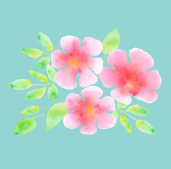 elegant light rosy blossom on blue mint color background. abstra