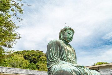 Fototapeta premium The Great Buddha in Kamakura Japan which is surrounded by green leaves. Located in Kamakura, Kanagawa Prefecture Japan.There are pigeon to Buddha's head.