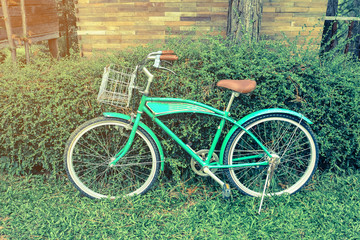 Fototapeta na wymiar bicycle on leaf wall background